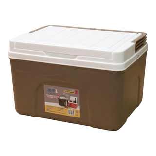 JEAN YEEN 展瑩 9811冰原可攜式保冷箱 9L 尺寸36x28x23.6cm PP材質 台灣製造 可手提輕盈開關, 顏色隨機