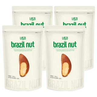 Nutree 巴西堅果, 500g, 4包