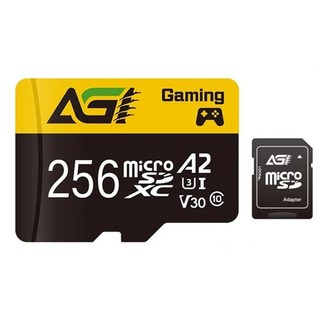 AGi 亞奇雷 256GB microSD記憶卡 AGI256GGSTF138 高速傳輸 附轉接卡, 1個