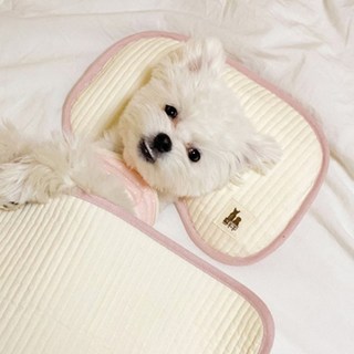 개달당 반려동물 댕나잇 누빔 반달 베개, 핑크, 1개