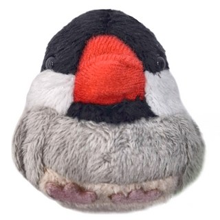 迷你動物造型沙包娃娃 6歲以上兒童適用, 櫻文鳥 多色, 1個