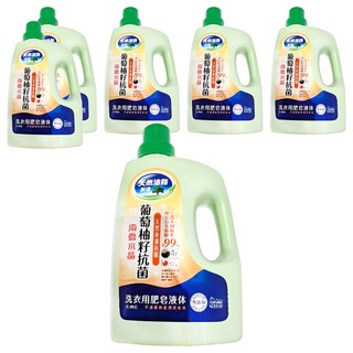 南僑水晶 洗衣用液體 葡萄柚籽抗菌, 2.4kg, 6桶