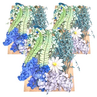 A-ONE 匯旺 乾燥花 C13 藍色療癒, 3入, 1個, 3包