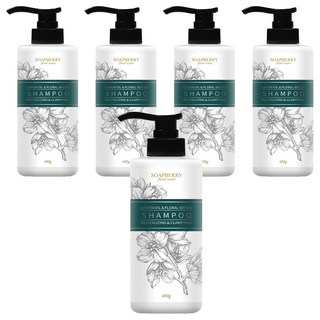 SOAPBERRY 古寶無患子 西西里檸檬深層淨化純露洗髮精 適用於一般及中油性髮質, 480g, 5瓶