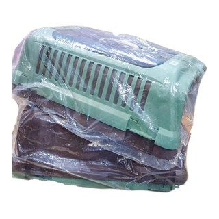 Richell 利其爾 外出上掀運輸提籠, M, 抹茶綠, 1個