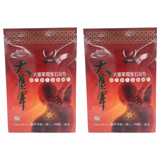 SnowIOU 樹飛雪 大薑軍電氣石貼布, 2包, 10片