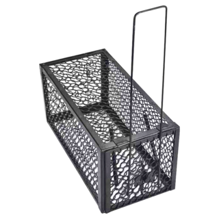 自動鎖扣捕鼠籠 高靈敏度設計 堅固耐用防鏽鐵材 操作簡單, 2個, 1組