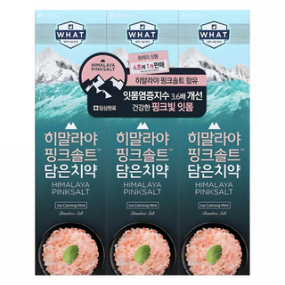 히말라야핑크솔트 담은 치약 아이스 카밍 민트, 100g, 3개
