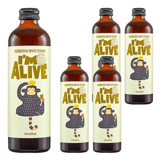 我還活著康普茶玻璃瓶姜檸檬, 315ml, 5瓶