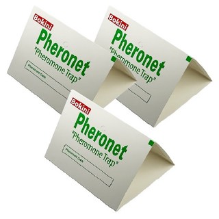 보키니 화랑곡나방 권연벌레 페로몬 트랩 중, 3개