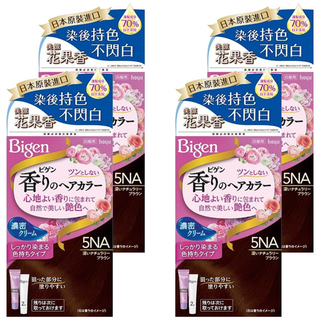 Bigen 美源 花果香快速染髮霜 (白髮專用), 5NA自然暖棕色, 4盒