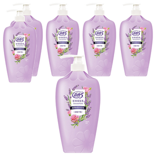 花香5 舒緩平衡洗髮乳 薰衣草玫瑰, 1.1kg, 6瓶