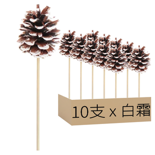 一般松果枝條 2~4cm 10支, 白霜