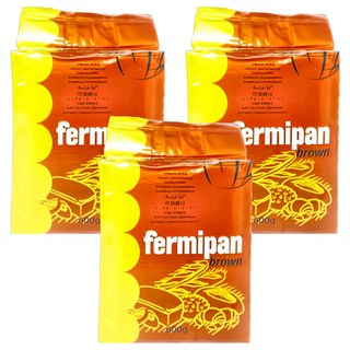 Fermipan Brown 滿點即發酵母, 500g, 3盒