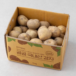 국내산 햇 감자, 5kg, 1개