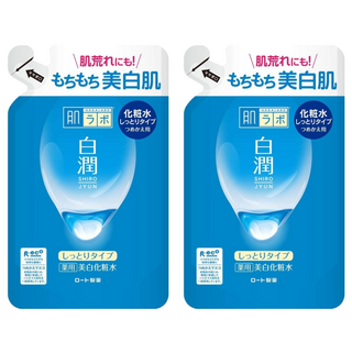 HADALABO 肌研 白潤化妝水 補充包 高效保濕 雙重玻尿酸 天然高純度熊果素 維他命C衍生物, 170ml, 2包