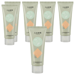 tsaio 上山採藥 茶樹粉痘調理洗顏乳 調理控油, 100g, 6條