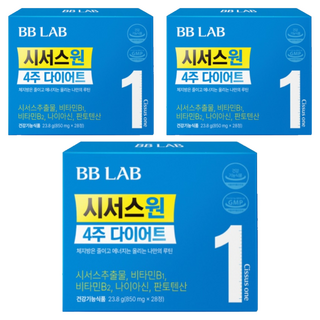 에버비키니 시서스