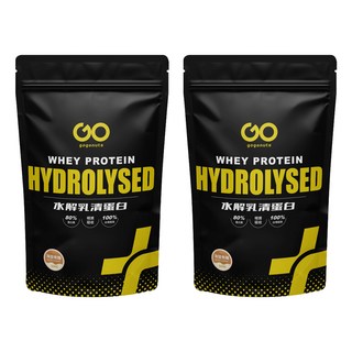 GOPower 果果能量 水解乳清蛋白飲 海鹽焦糖, 500g, 2包