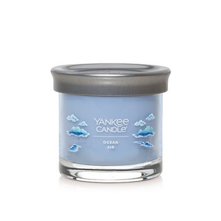 YANKee CANDLe 經典玻璃罐香氛蠟燭, 海洋氣息, 122g, 1個