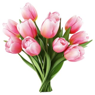 人造花 仿真鬱金香 34cm 12g, 全粉色, 10支