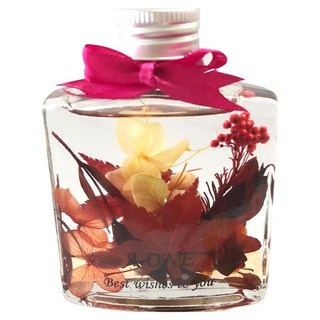 A-ONE 匯旺 浮游花DIY花材包 3包 H41 紅暘閃耀 彩色 - 輕鬆打造獨特風格花藝