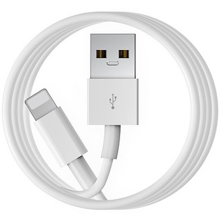 아이폰 8핀 고속충전 라이트닝 케이블, 1개, 2m, 화이트
