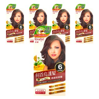Roudye 柔蝶 何首烏護髮 快速染髮霜 全新升級配方 灰白髮/白髮適用, 6號 自然黑褐, 5盒
