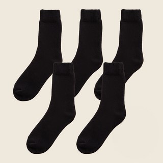 BASE ALPHA ESSENTIALS 溫暖日常刷毛襪 5雙