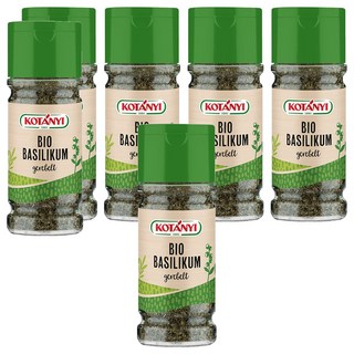 KOTANYI 羅勒, 6個, 17g