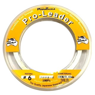 AMiKA Pro-Leader HARD CARBON 碳纖線 船釣 100M 60LB, 1個, 透明色