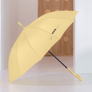 카르페디엠 스마트 베이직 자동 장우산