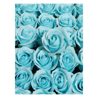 LED 珍珠冷美人玫瑰香皂花束 PVC盒裝 藍色 - 香氛永生花禮，浪漫首選