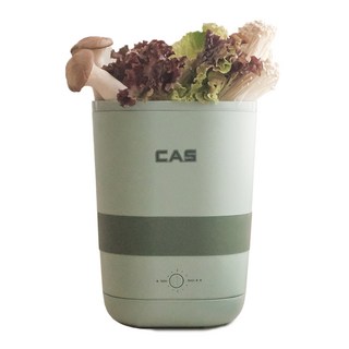 CAS 蔬果奶瓶貴重金屬眼鏡家用超音波清洗機, BEGS002(綠色)