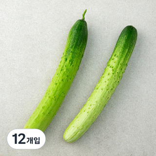 국내산 백오이, 2개입, 6개