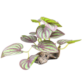 AQUAB 人造紅樹林漂流木水草 426D-15, 1個