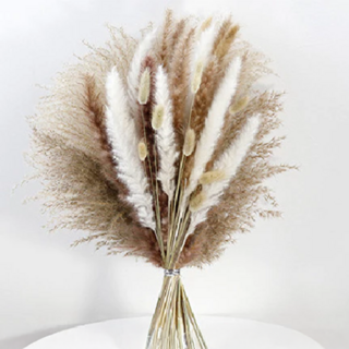 Goyo 乾燥花 CH-041 220g, 杏色