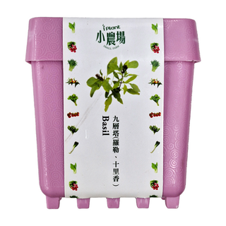 iPlant 積木農場盆栽 - 羅勒 (九層塔, 十里香), 12 x 12 x 13.5cm