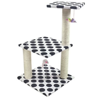 的的喀喀塔 M3, 黑色