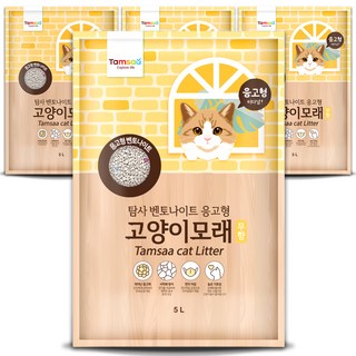 탐사 응고형 고양이 모래, 5L, 4팩, 무향