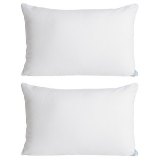 C.G.&C. S.M.C. 凱蕾絲帝 台灣製造 超澎柔100%純天然羽絨枕 1.4kg, 2個