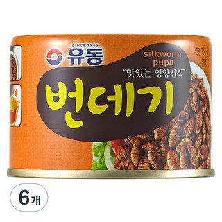 유동 유동번데기 130g x 24캔, 6개