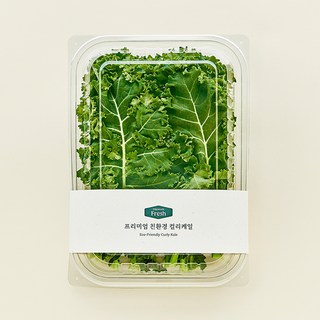 프리미엄 친환경 컬리케일, 100g, 1개