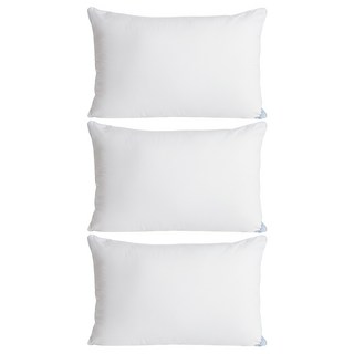 C.G.&C. S.M.C. 凱蕾絲帝 台灣製造 超澎柔100%純天然羽絨枕 1.4kg, 3個