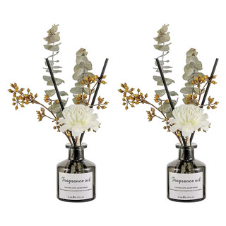 SC優選 植物精油綠植乾花香薰擺件無火香薰, 英梨小蒼蘭, 50ml, 2件