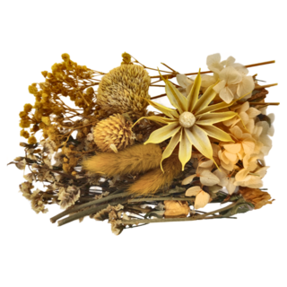 A-ONE 匯旺 乾燥花 B06 黃海蝶舞 3盒