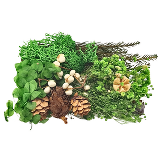 A-ONE 匯旺 乾燥花 B10 3盒,魔法森林,DIY手工天然材料