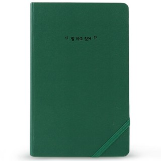 리훈 하고싶은말 다이어리 만년형, 딥그린 잘하고있어