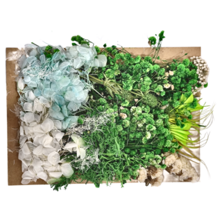 A-ONE 匯旺 乾燥花 C14 秋色怡人 3入