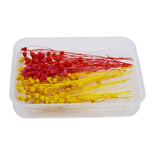 A-ONE 匯旺 乾燥花A25 永生富貴豆 3色混搭